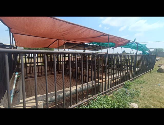 9HA FARM FOR SALE IN ROODS GARDENS